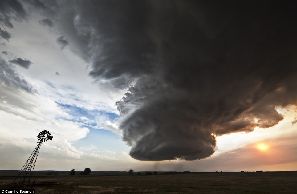 ��Ӱʦ��׽�������������𺳱���