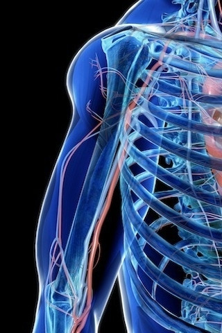 ��̾������ҽѧ3D������ͼ ����ͼƬ