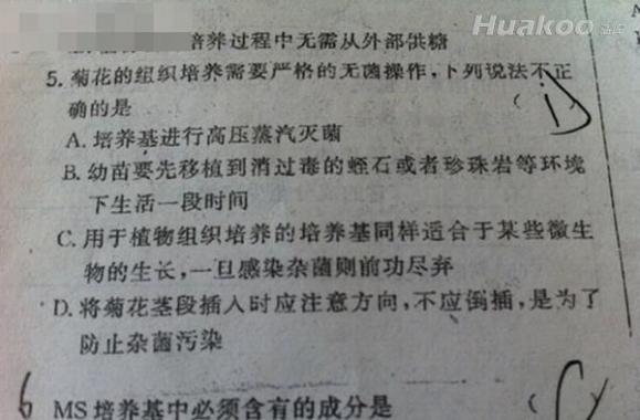 ���Ň��� ��С�ľͱ����� ��Ц��ͼ