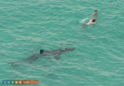 ץ�ľ��Ķ��ǵĶ��˲��(��ͼ)