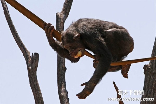 ʵ�Ķ�����Ȥ˲�䣬�ȷ���