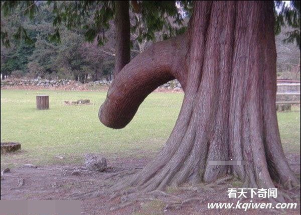 �̵�ܻƺ�ɫ�����Ը�ЦͼƬ �����ٶ������