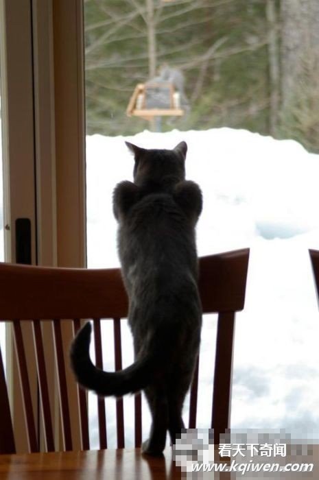 �̲�סЦ���Ŀ�ͼ