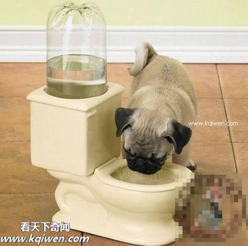 ��Ϊ���ޣ��ҵ�ѹ��Ҳ�ܴ�