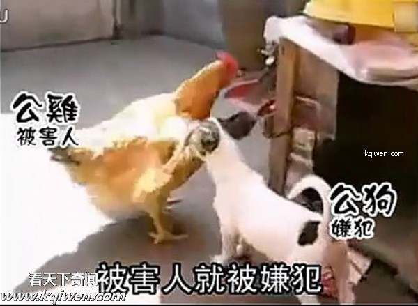 ��ɫС�������컯�����Ｆ(��ͼ)