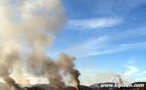 ���������໥�ڻ�¼���ع� ����280��ö�ڵ� ����������߾���